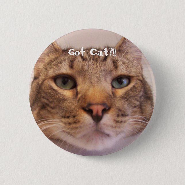 Got Cat Pinback Button (Front)