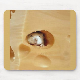 Got cheese? mouse pad