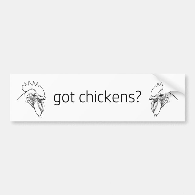 got chickens? roosters bumper sticker (Front)