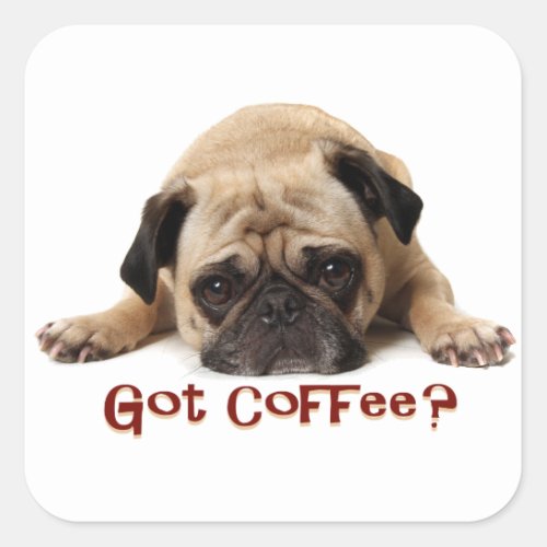 Got Coffee Pug Sticker