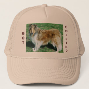 GOT, COLLIE? TRUCKER HAT