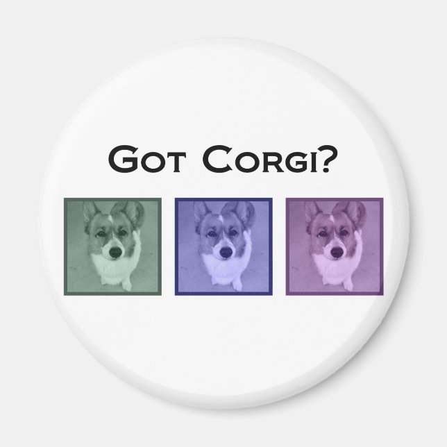 Got Corgi? Cute Corgis Magnet (Front)