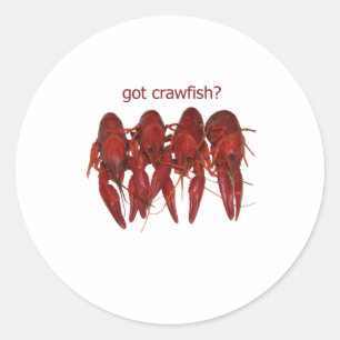 got crawfish? logo classic round sticker