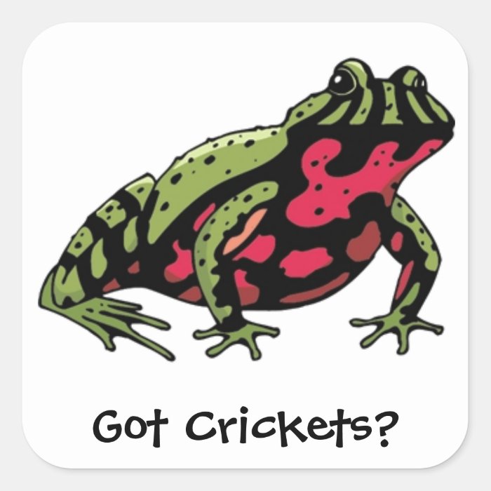 Got Crickets (Fire Belly Toad) Square Sticker