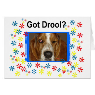 Got Drool Cards