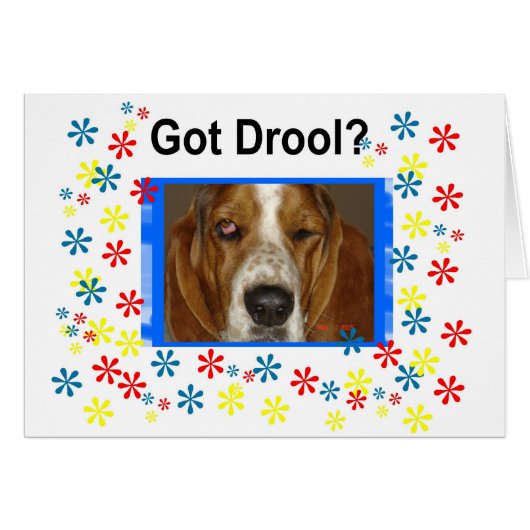 Got Drool Cards (Front Horizontal)
