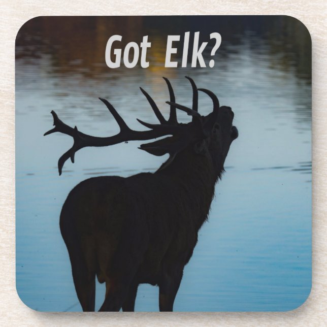 Got Elk?  Funny Hunter Humor Beverage Coaster (Front)