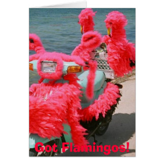 Got Flamingos!, Cards