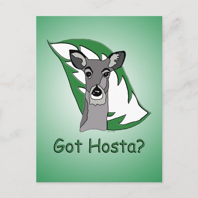 Got Hosta? Postcard (Front)