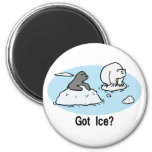 Got Ice? Magnet
