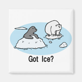 Got Ice? magnet