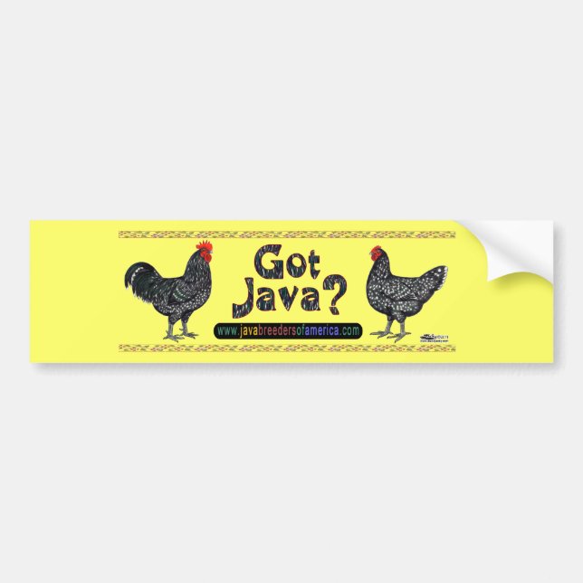 Got Java? Bumper Sticker (Front)