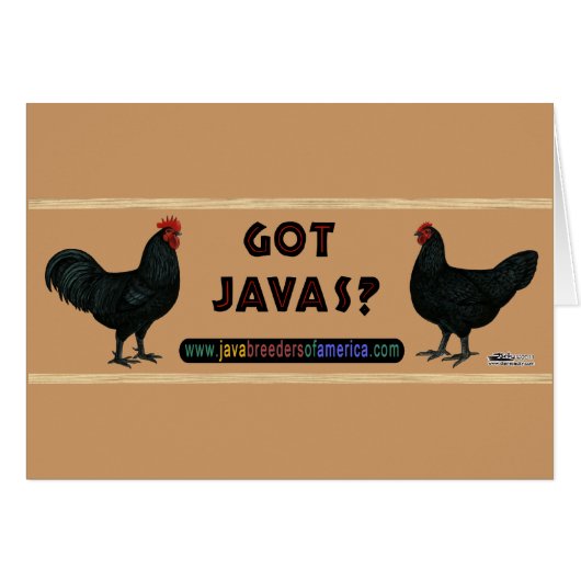 Got Javas? (Front Horizontal)