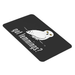 got lemmings? with Snowy Owl 4