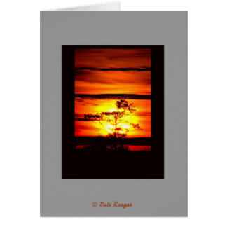 Got Light? Cards