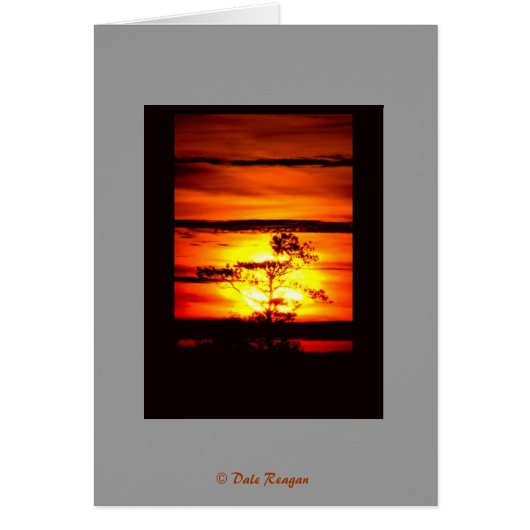 Got Light? Cards (Front)