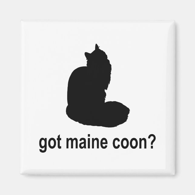 Got Maine Coon? Magnet (Front)