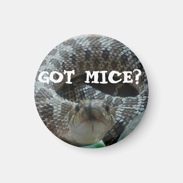 Got Mice? Hognose Magnet (Front)