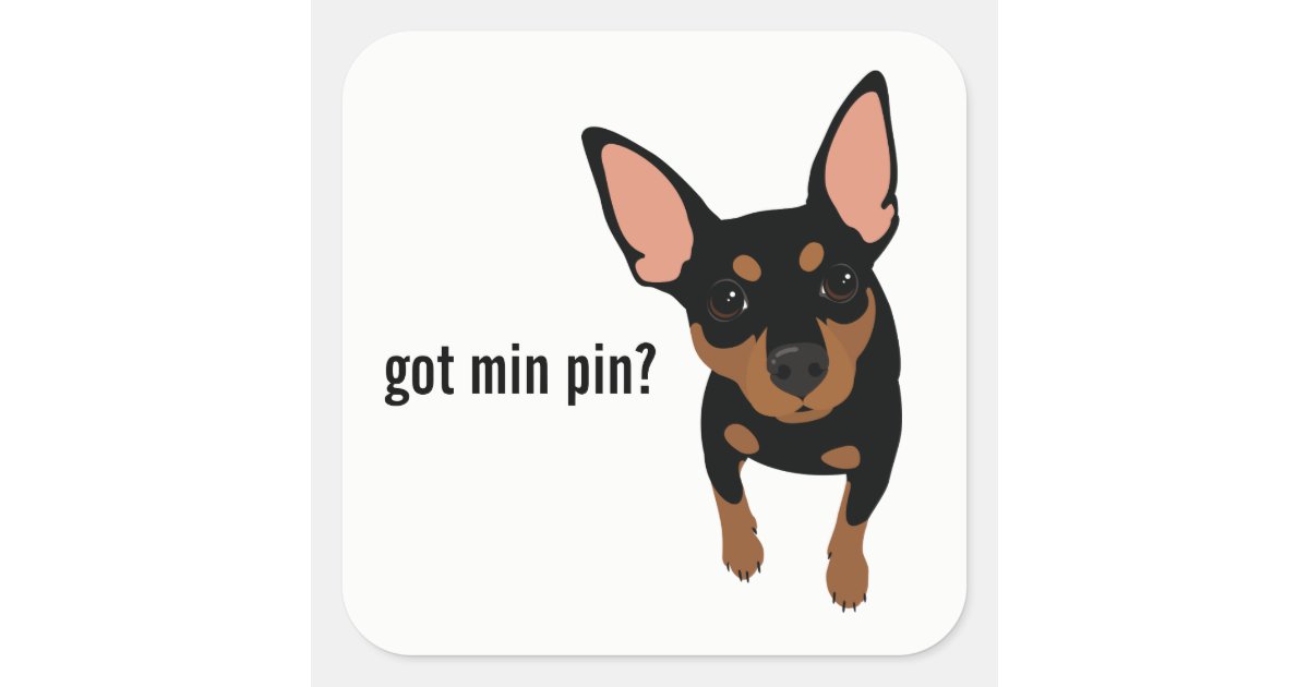 Got Min Pin? Miniature Pinscher (Black) Sticker | Zazzle