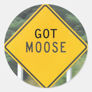 Got Moose - Stickers