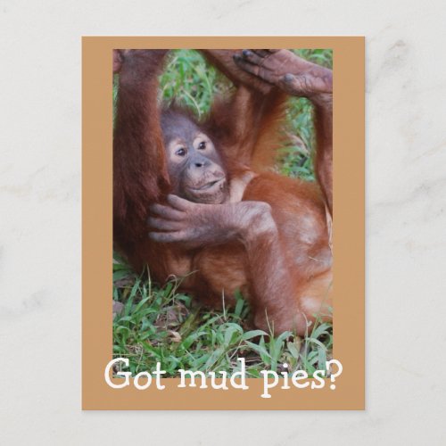 Got mud pies postcard