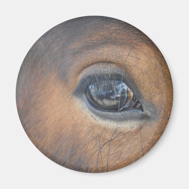 Got My Eye On You Magnet (Front)