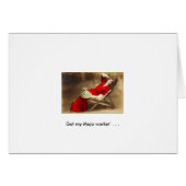 Got my Mojo workin' . . . (Front Horizontal)