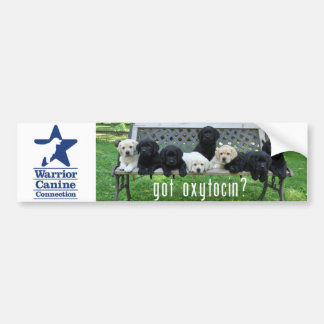 Got Oxytocin? Bumper Sticker
