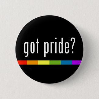 Got Pride: Gay Pride Pinback Button
