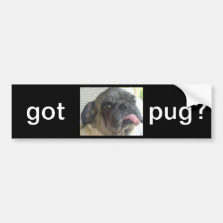 got pug? bumpersticker bumper sticker
