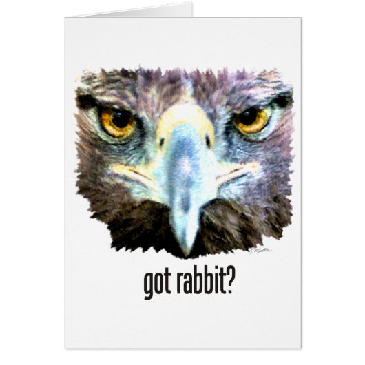 Got Rabbit? Cards (Front)