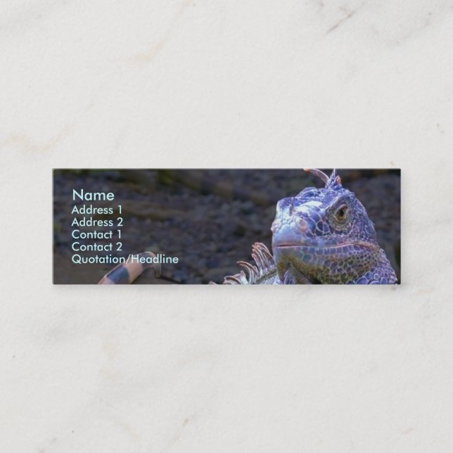 Got Scales? Mini Business Card (Front)