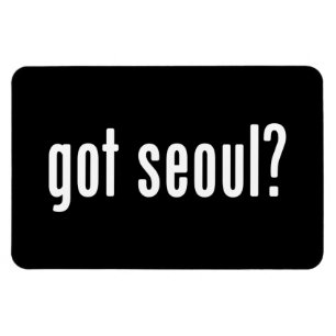 got seoul? magnet