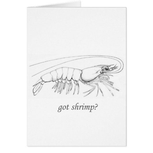"got shrimp" logo cards (Front)