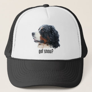 got snow? Bernese Hat