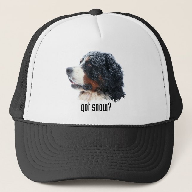 got snow? Bernese Hat (Front)