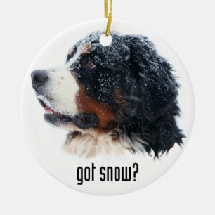 got snow? Bernese Mountain Dog Ceramic Ornament