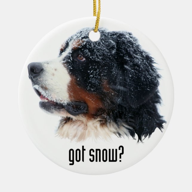 got snow? Bernese Mountain Dog Ceramic Ornament (Front)