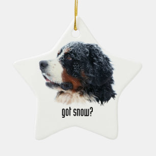 got snow? Bernese Mountain Dog Ceramic Ornament