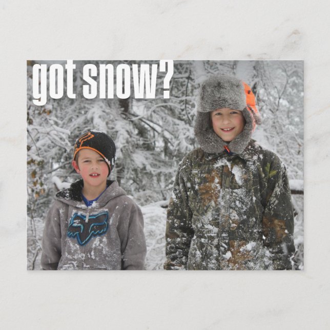 "got snow?" Holiday Postcard - 2 Photos (Front)