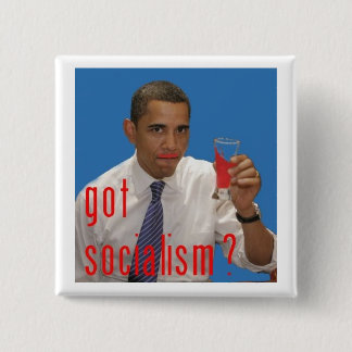 got socialism? pinback button