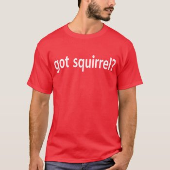 Got Squirrel? Cardinals Rally Squirrel Tshirt by zarenmusic at Zazzle