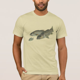 Got Stripa? T-Shirt