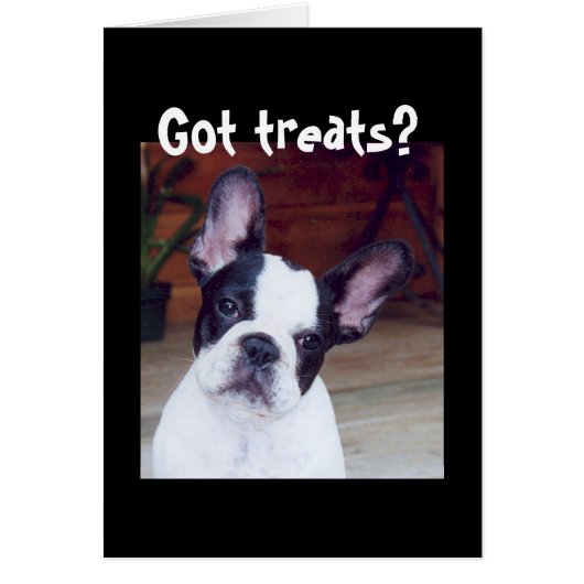 'Got treats?' Cards (Front)