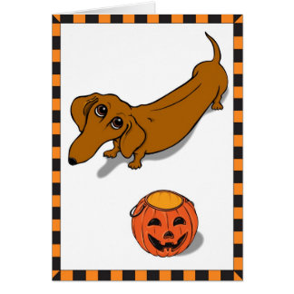 Got Treats Dachshund