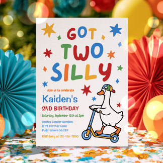 Got Two Silly Goose Boy 2nd Birthday Party Invitation