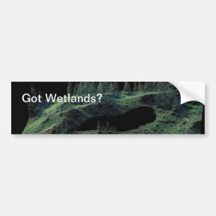 Got Wetlands? Bumper Sticker