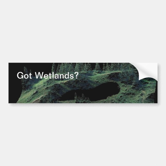 Got Wetlands? Bumper Sticker (Front)