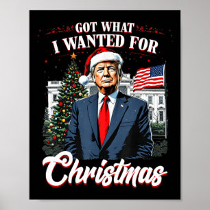 Got What I Wanted For Christmas Trump 2024 4 Poster