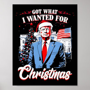 Got What I Wanted For Christmas Trump 2025  Poster